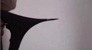 建筑建材領(lǐng)域技術(shù)轉(zhuǎn)讓與開(kāi)發(fā) 引氣劑、外墻彈性膩?zhàn)臃邸⑺嗝撃?yīng)用前景