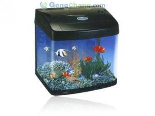 供應(yīng)生態(tài)魚缸與水族箱配件及技術(shù)轉(zhuǎn)讓一站式解決方案